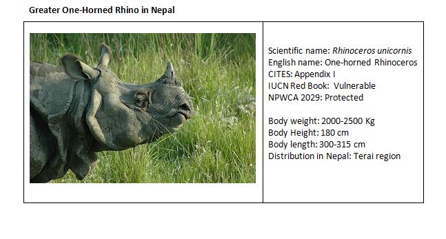 THE GREATER ONE-HORNED RHINOCEROS – A SPECIES PROTECTED IS A HERITAGE